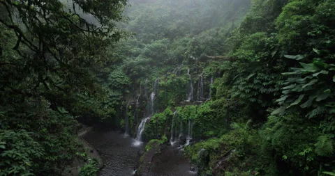 Drone shot of amazing waterfall in Bali Stock Footage 290004349