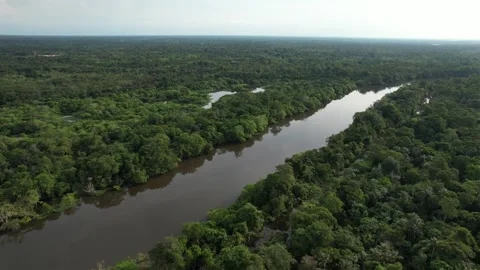 Drone Shot Amazon Stock Footage 260402193
