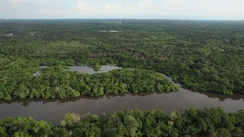 Drone Shot Amazon Rain Forest Stock Footage 260402194