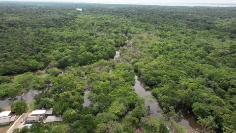 Drone Shot Amazon River Stock Footage 220521795
