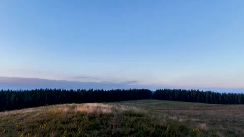Drone shot approaching a forest Stock Footage 313272515