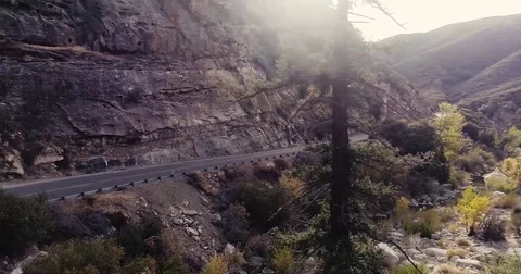 Drone shot around a tree in the mountains Stock Footage