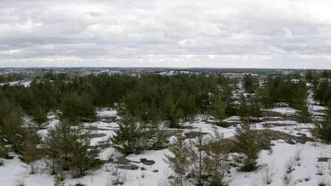 Drone shot ascending a pine tree dotted hilly and snowy landscape Stock Footage 120652983