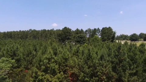 Drone shot backing away over forest top 스톡 동영상 91218950
