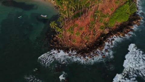 A drone shot of a beach lined with coconut trees with waves. Stock Footage 305214751