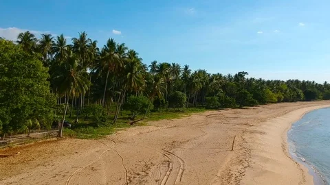 A drone shot of a beach with palm trees Stock Footage 109797103