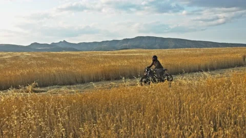 Drone shot of a bearded man riding an old cafe racer motorcycle in wheat field Stock Footage 140360840