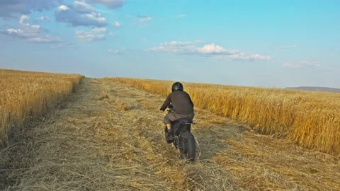 Drone shot of a bearded man riding an old cafe racer motorcycle in wheat field Stock Footage 140361176