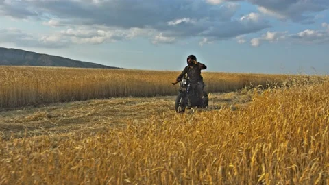 Drone shot of a bearded man riding an old cafe racer motorcycle in wheat field Stock Footage 140361679
