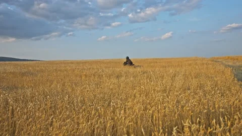 Drone shot of a bearded man riding an old cafe racer motorcycle in wheat field Stock Footage 140361956