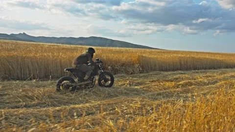Drone shot of a bearded man riding an old cafe racer motorcycle in wheat field Stock Footage 140362028