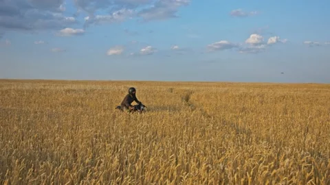 Drone shot of a bearded man riding an old cafe racer motorcycle in wheat field Stock Footage 140362518