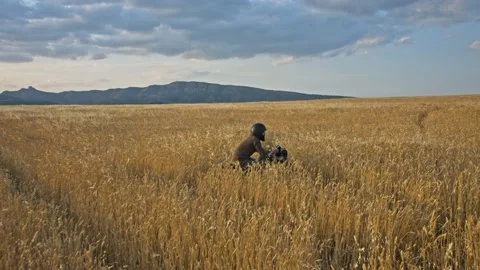 Drone shot of a bearded man riding an old cafe racer motorcycle in wheat field Stock Footage 140362622