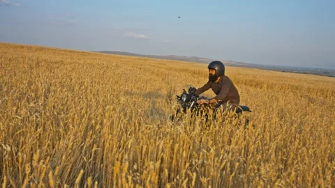 Drone shot of a bearded man riding an old cafe racer motorcycle in wheat field Stock Footage 140362625