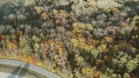 Drone shot of beautiful fall colors Stock Footage 219762836