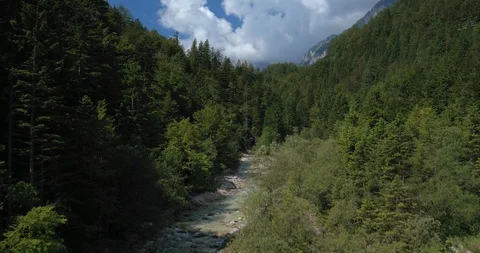 Drone Shot Of Beautiful Forest, Mountains And River Stock Footage 129180553