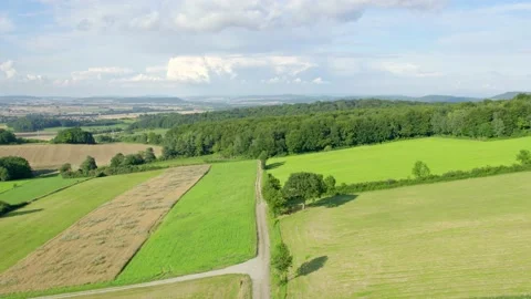 Drone shot of beautiful meadows and forest in a summer landscape Stock Footage 193031231