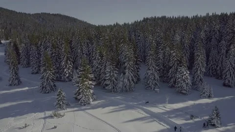DRONE SHOT OF A BEAUTIFUL MOUNTAIN Stock Footage 223376638