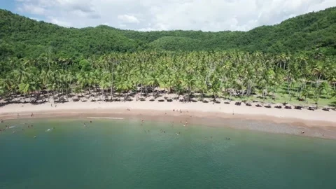 Drone shot of a beautiful remote tropical bay with palm trees, sandy beach, and Stockbeeldmateriaal 317842292