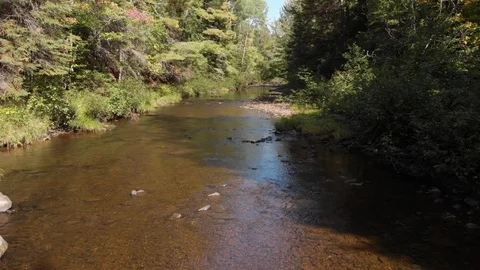 Drone shot of beautiful small stream in forest during summer, 4k Stock Footage 120314771