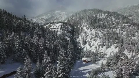 Drone shot of beautiful snow-covered trees and mountains in Colorado - Long Stock Footage 249782615