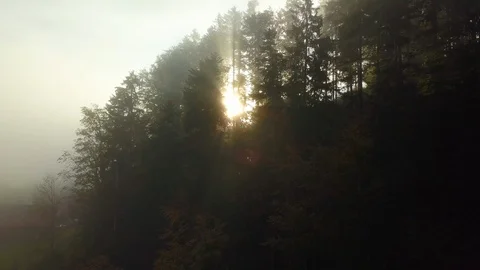 Drone shot of beautiful sunlight falling on tree against sky in morning Stock Footage 120488878