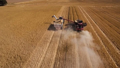 Drone shot behind harvester and support truck working a wheat field. Stock Footage 86906675
