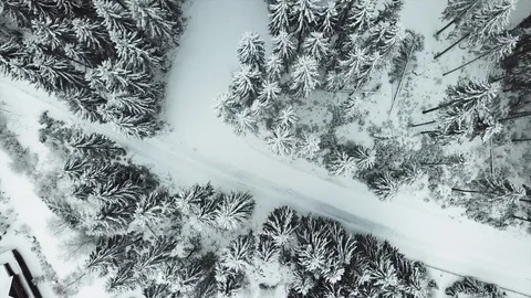 Drone Shot in the Blackforest - Hinterzarten.Winter Time Vidéo 92463589