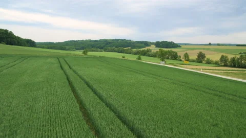 Drone Shot Of Blooming Farming Fields Stock Footage 132341045