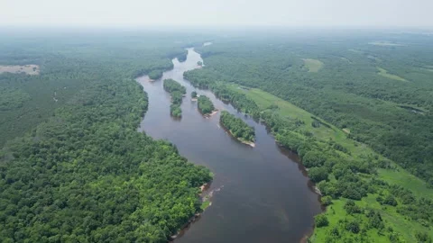Drone Shot of Blue River with Trees Along Shoreline with Green Forest Landscape Stock Footage 244958613