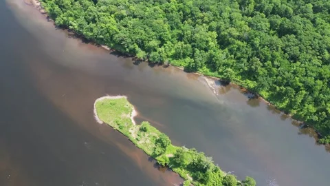 Drone Shot of Blue River with Trees Along Shoreline with Green Forest Landscape Stock Footage 244958624