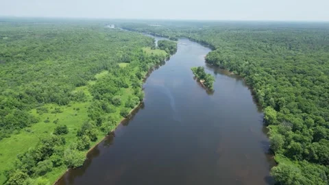 Drone Shot of Blue River with Trees Along Shoreline with Green Forest Landscape Stock Footage 244958665