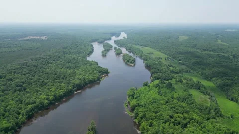 Drone Shot of Blue River with Trees Along Shoreline with Green Forest Landscape Stock Footage 244958760