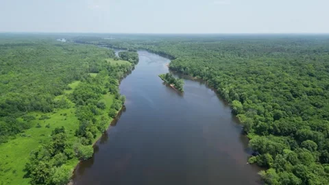 Drone Shot of Blue River with Trees Along Shoreline with Green Forest Landscape Stock Footage 244958799