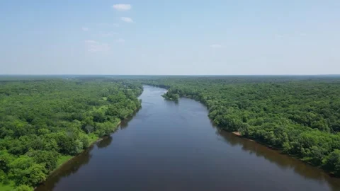 Drone Shot of Blue River with Trees Along Shoreline with Green Forest Landscape Stock Footage 244958863