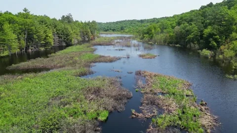 Drone Shot of Blue River with Trees Along Shoreline with Green Forest Landscape Stock Footage 244959180