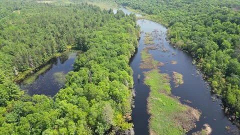 Drone Shot of Blue River with Trees Along Shoreline with Green Forest Landscape Stock Footage 244959364