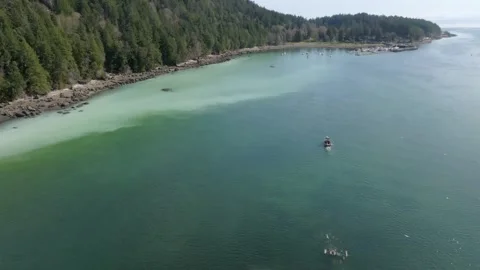Drone shot of boat driving through herring spawn arriving at a small island on Stock Footage 345174505