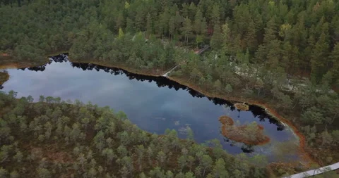 Drone shot bog lake 스톡 동영상 164599544