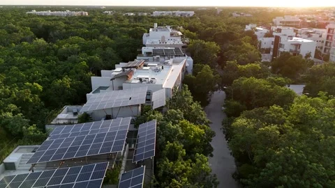 Drone Shot of Buildings With Solar Panels and Villas in Green Forest of Tulum Stock Footage 307983168