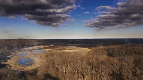 Drone shot of a burning forest and smoke Stock Footage 233679237