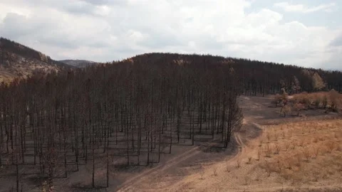 Drone shot of burnt surface. Stock Footage 159602458