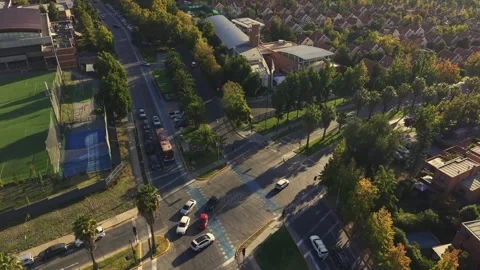 Drone shot of a busy intersection with palm trees and residential housing in Stock Footage 332564555