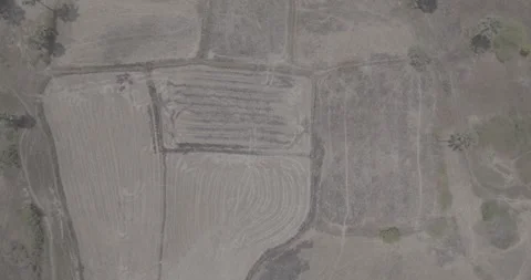 Drone shot of Cambodian fields Видео 281859197