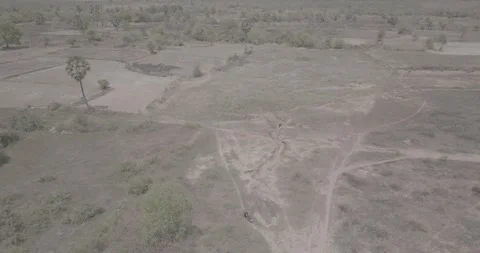 Drone shot of Cambodian fields Stock Footage 281859205