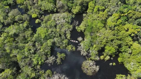 Drone Shot of Canoe Passing Through Amazon Flooded Forest Stock Footage 322114778