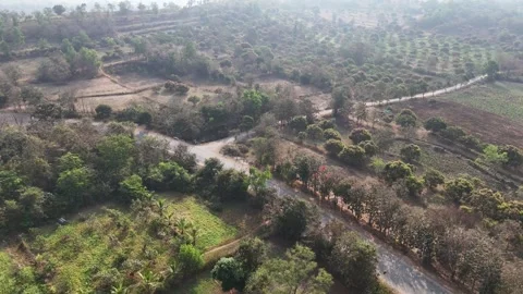 Drone shot capturing the countryside around Mollem with scattered vegetation Stock Footage 336025583