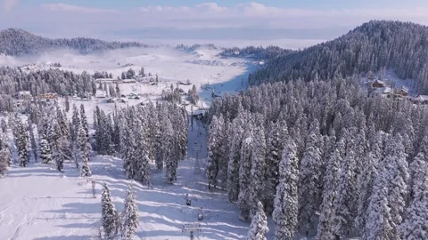 Drone shot capturing elevated gondola path through alpine woods. Stock Footage 311946320