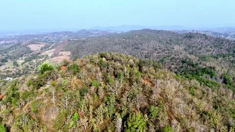 Drone shot capturing lush hillside forests in Akrali with layered vegetation Vídeos de archivo 336028058