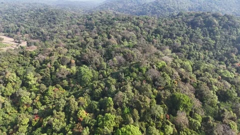 Drone shot capturing the lush landscapes of Yemmagundi with rolling 스톡 동영상 336202085